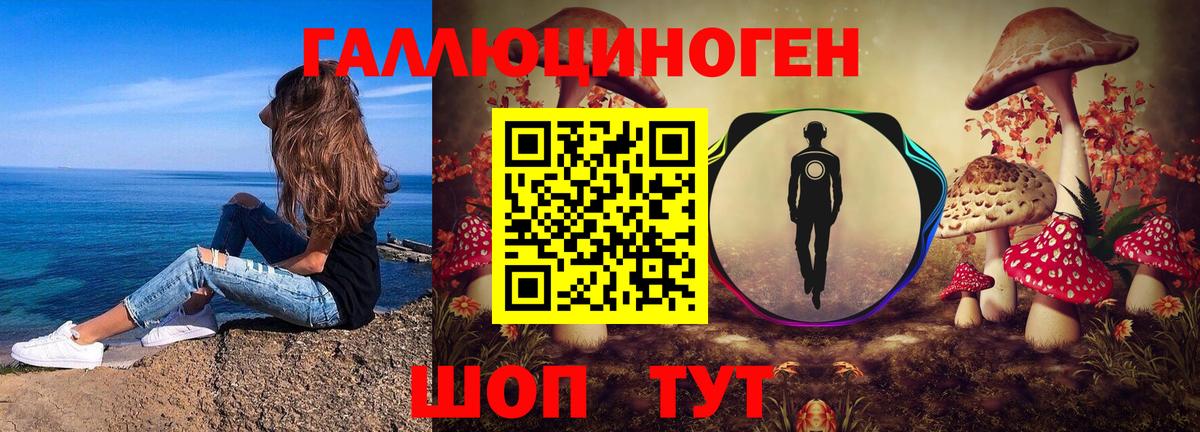 Псилоцибиновые грибы мицелий Новокуйбышевск